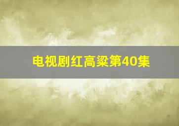 电视剧红高粱第40集