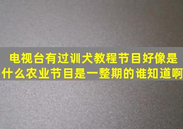 电视台有过训犬教程节目好像是什么农业节目是一整期的谁知道啊