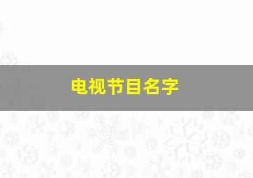 电视节目名字