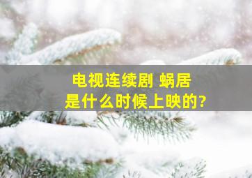 电视连续剧 蜗居 是什么时候上映的?