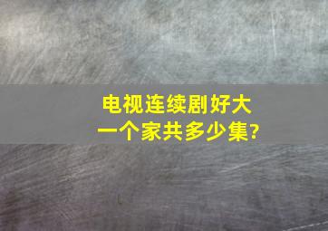 电视连续剧好大一个家共多少集?