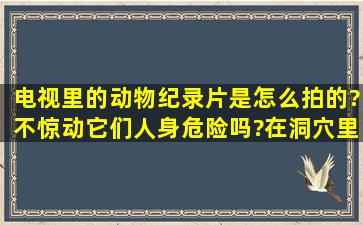 电视里的动物纪录片是怎么拍的?(不惊动它们、人身危险吗?在洞穴里...