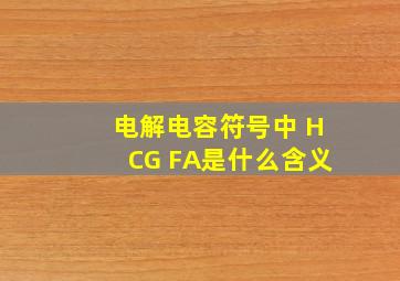 电解电容符号中 HCG FA是什么含义