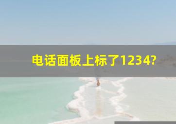 电话面板上标了1234?