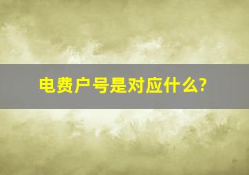 电费户号是对应什么?