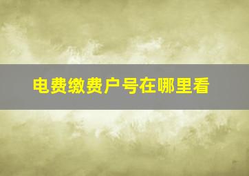 电费缴费户号在哪里看