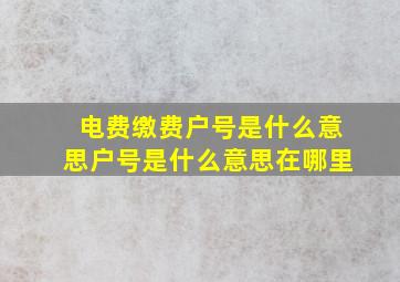 电费缴费户号是什么意思(户号是什么意思在哪里)