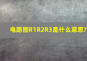 电路图R1R2R3是什么意思?