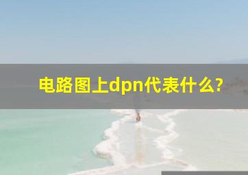 电路图上dpn代表什么?