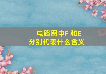 电路图中,F 和E分别代表什么含义