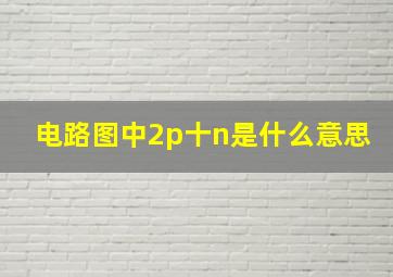 电路图中2p十n是什么意思