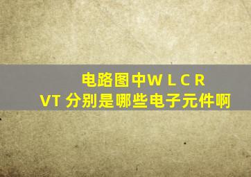 电路图中W L C R VT 分别是哪些电子元件啊