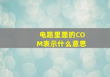 电路里面的COM表示什么意思