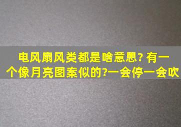 电风扇风类都是啥意思? 有一个像月亮图案似的?一会停一会吹,