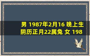 男 1987年2月16 晚上生 阴历正月22属兔 女 1986年12月28日中午生 ...