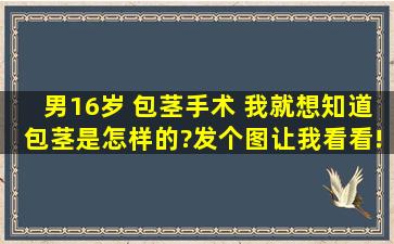 男16岁 包茎手术 我就想知道包茎是怎样的?发个图让我看看!