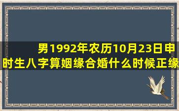 男1992年农历10月23日申时生八字算姻缘合婚(什么时候正缘分到(