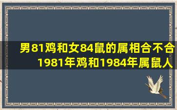 男81鸡和女84鼠的属相合不合1981年鸡和1984年属鼠人能不能婚