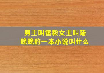 男主叫雷毅女主叫陆晚晚的一本小说叫什么(