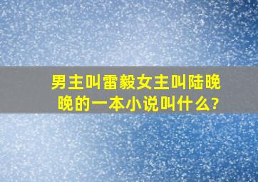 男主叫雷毅女主叫陆晚晚的一本小说叫什么?