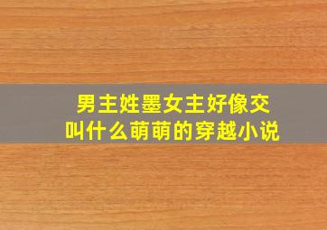 男主姓墨,女主好像交叫什么萌萌的穿越小说