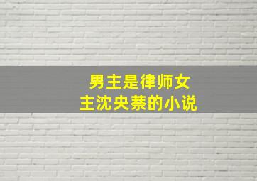 男主是律师,女主沈央萘的小说