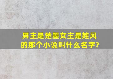 男主是楚墨女主是姓风的那个小说叫什么名字?