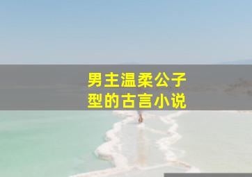 男主温柔公子型的古言小说