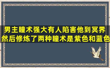 男主瞳术强大,有人陷害他到冥界 然后修炼了两种瞳术,是紫色和蓝色的...