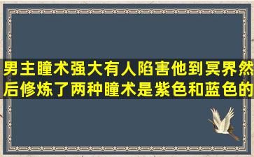 男主瞳术强大有人陷害他到冥界然后修炼了两种瞳术是紫色和蓝色的