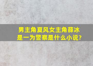 男主角夏风女主角薛冰是一为警察,是什么小说?