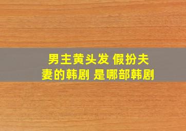 男主黄头发 假扮夫妻的韩剧 是哪部韩剧