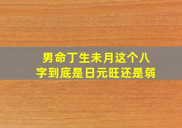 男命,丁生未月这个八字,到底是日元旺还是弱