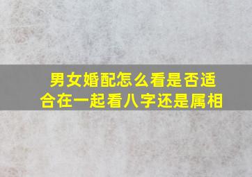 男女婚配怎么看是否适合在一起,看八字还是属相