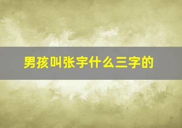 男孩叫张宇什么,三字的