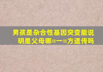 男孩是杂合性基因突变,能说明是父母哪=一=方遗传吗