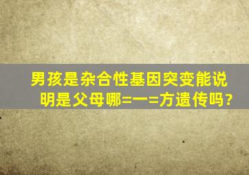 男孩是杂合性基因突变,能说明是父母哪=一=方遗传吗?