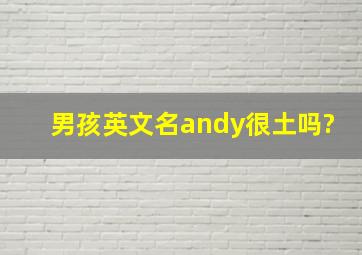 男孩英文名andy很土吗?