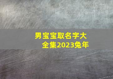 男宝宝取名字大全集2023兔年