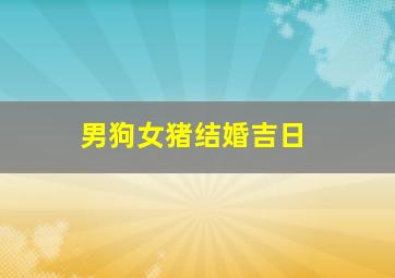 男狗女猪结婚吉日