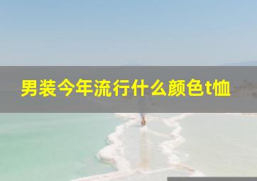 男装今年流行什么颜色t恤