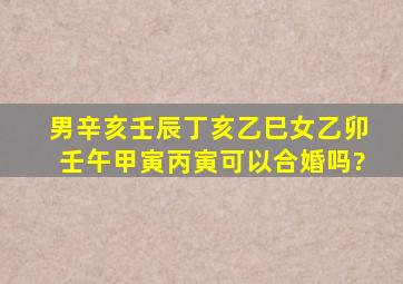 男辛亥壬辰丁亥乙巳女乙卯壬午甲寅丙寅,可以合婚吗?