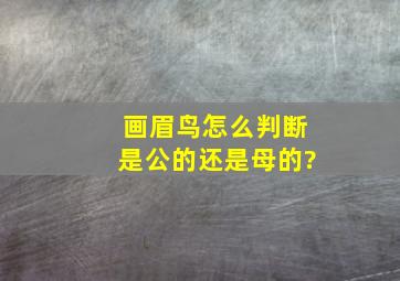 画眉鸟,怎么判断是公的还是母的?