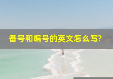 番号和编号的英文怎么写?