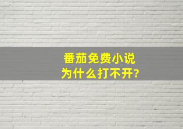 番茄免费小说为什么打不开?