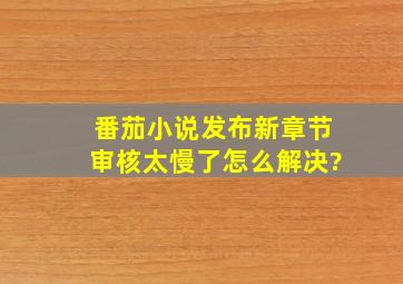 番茄小说发布新章节,审核太慢了,怎么解决?