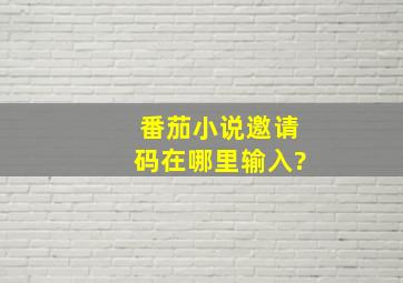 番茄小说邀请码在哪里输入?