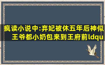 疯读小说中:弃妃被休,五年后神似王爷都小奶包来到王府前“炸了他都...