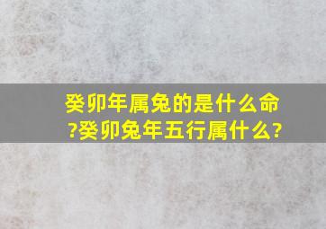 癸卯年属兔的是什么命?癸卯兔年五行属什么?