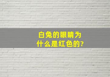 白兔的眼睛为什么是红色的?